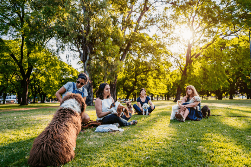 Furry Friends Fellowship